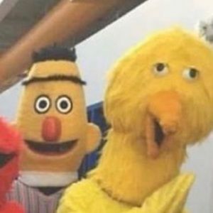 Meet your Posher, Aiden